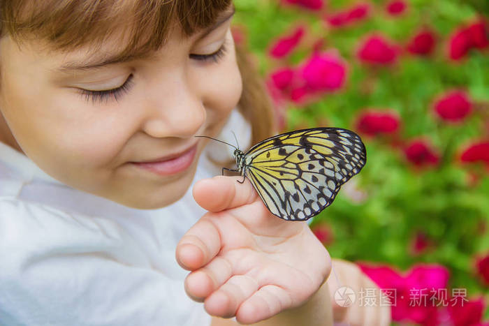 孩子的蝴蝶想法leuconoe选择性聚焦