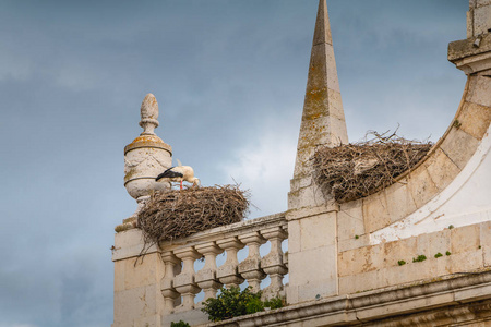在葡萄牙的法鲁城拱上建的鹳巢