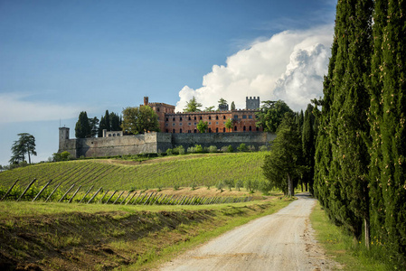 Brolio 城堡和附近的葡萄园。城堡坐落在著名的齐颜蒂基安蒂葡萄酒产区。