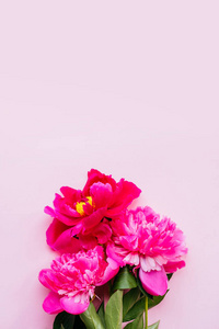 粉色牡丹花束