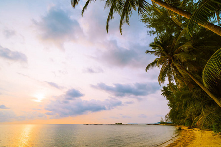 美丽的天堂海岛与海滩和海在椰子棕榈树附近在日落时间假日假期和旅行概念