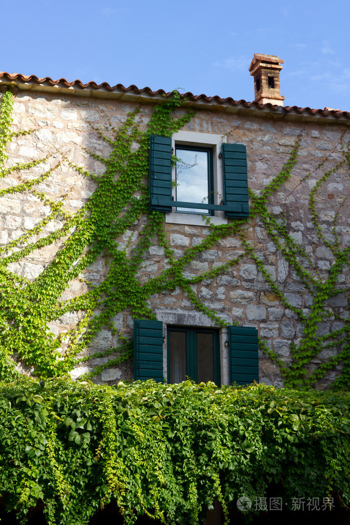 绿色的树叶与石房子