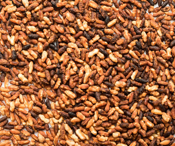糙米原生种子背景