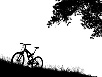 骑自行车在自然