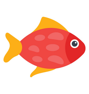 美丽的宠物鹦鹉图片