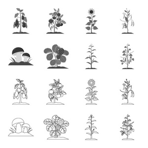 蘑菇, 草莓, 玉米, 黄瓜。植物集合图标的轮廓, 单色风格矢量符号股票插画网站