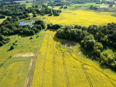 与油菜田夏季美丽的农田景观与油菜田和池塘, 鸟瞰图照片