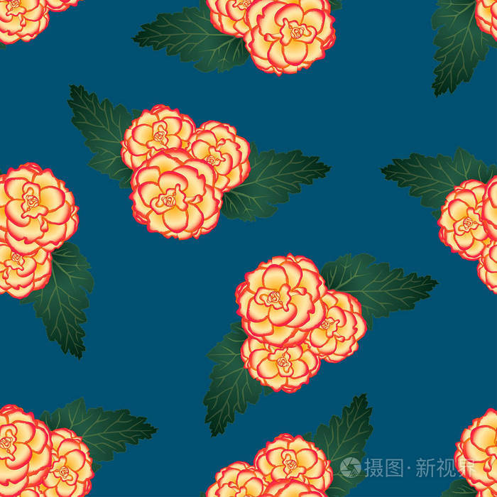 海棠花 玫瑰色森伯斯特在靛蓝色背景上 矢量插图插画 正版商用图片055yfl 摄图新视界