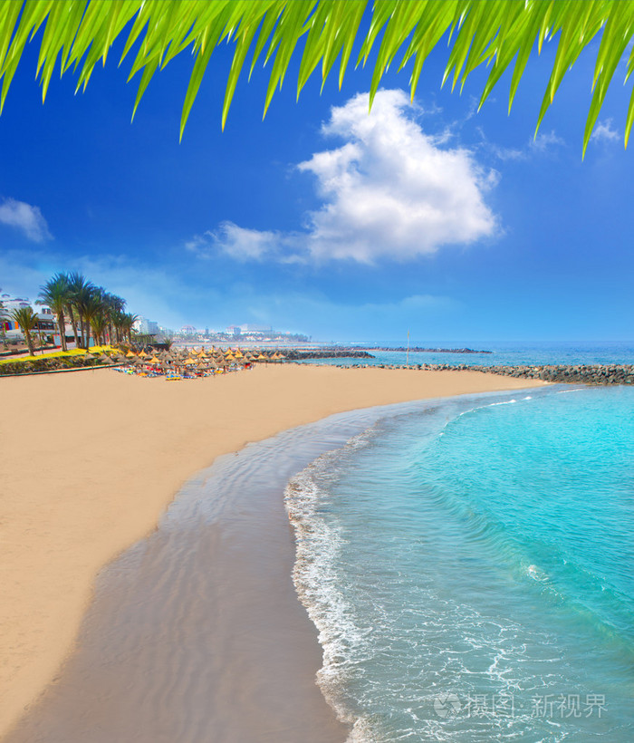 *4500px发票合同问题/海边海滩大西洋海岸热带群岛岛海洋查看作者其他