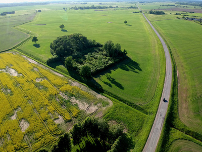 夏季农田油菜籽田与拖拉机轨道和农村公路, 鸟瞰图