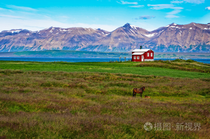 冰岛红房子在草甸与一匹马 山背景照片 正版商用图片0560ho 摄图新视界