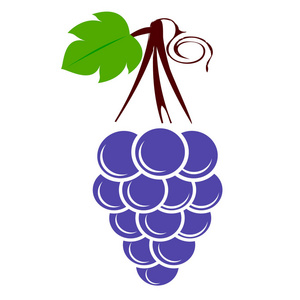 葡萄品种的白色背景。矢量插图