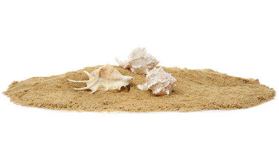 白色背景下的沙滩砂和贝壳组成