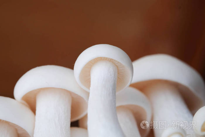 木桌上的蘑菇烹调原料