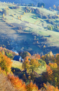 秋季山村乌克兰喀尔巴阡。