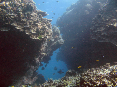 伟大的堡礁澳大利亚