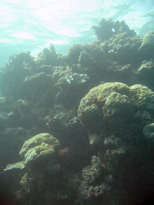 伟大的堡礁澳大利亚