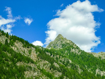 在阿尔卑斯山的森林。Gressoney 山谷位于意大利北部的奥斯塔山谷。它的标志是赖氨酸河, 其来源是蒙罗莎冰川