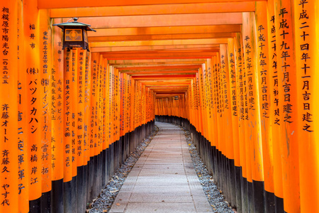 红托里门在伏见 inari 神社在京都，日本
