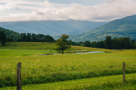 西弗吉尼亚州波托马克高地的池塘和山脉景观
