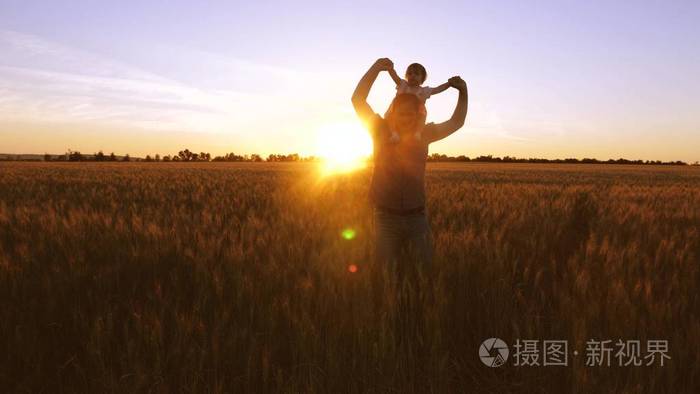 爸爸肩上抱着小笑着对小麦田金色日落的背景
