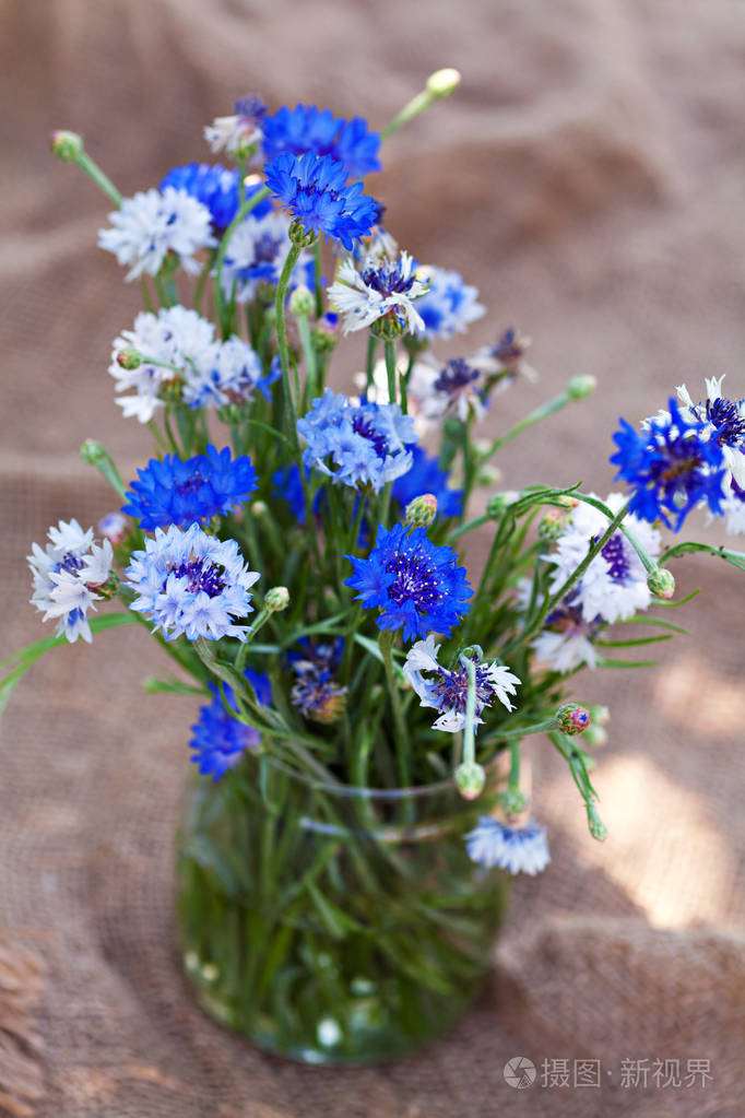 新鲜矢车菊花束在花瓶室外