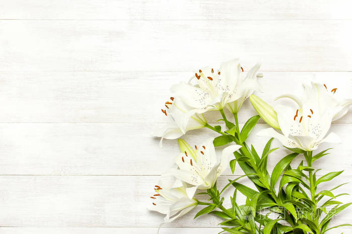 鲜花百合美丽花束白花花卉背景概念假日