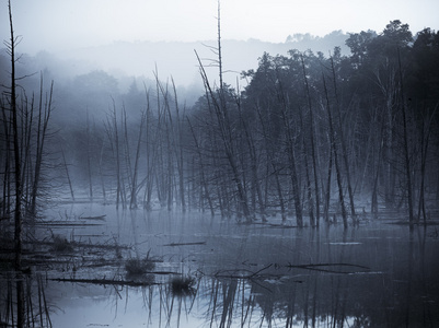 薄雾薄雾图片-薄雾薄雾素材-薄雾薄雾插画-摄图新视界