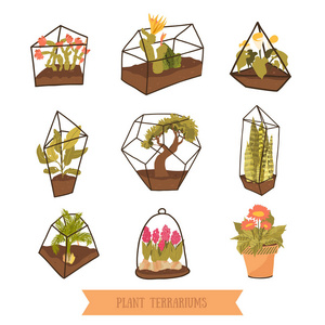 涂鸦 terrariums 植物为肉质植物和仙人掌。玻璃园设计