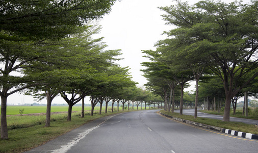 乡村道路与和平风景为旅行。农村交通路路