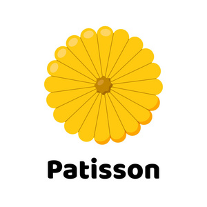 矢量插图。蔬菜。Patisson