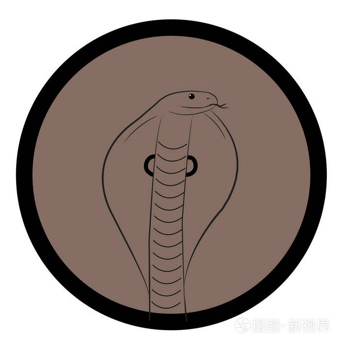 眼镜蛇蛇脸特写矢量插画-正版商用图片057dm9-摄图新视界