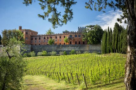 Brolio 城堡和附近的葡萄园。城堡坐落在著名的齐颜蒂基安蒂葡萄酒产区。