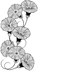 花式手绘旋花花卉无缝图案