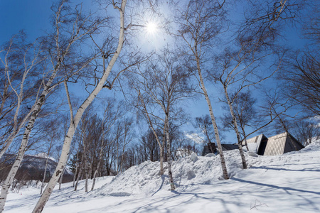 雪国素材图片 雪国图片素材下载 摄图新视界 雪国素材图片 雪国图片素材下载 摄图新视界