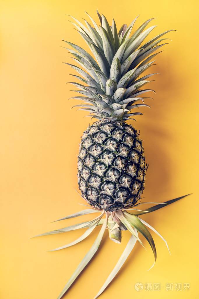 黄色背景下的热带菠萝果