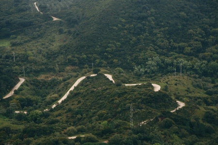 穿过森林的蜿蜒道路的鸟瞰图