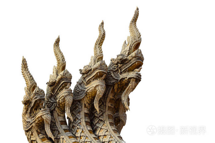 蛇四头白色背景