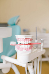 用红色牙刷对牙齿模型义齿的特写照片