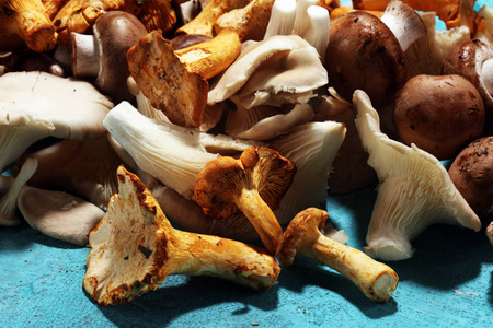 牡蛎蘑菇和 champignons 在餐桌上的生蘑菇品种