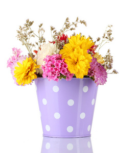 紫色桶与白色小圆点与孤立在白色的鲜花