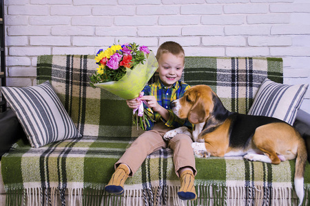 滑稽的男孩与一束花和狗猎犬在沙发上