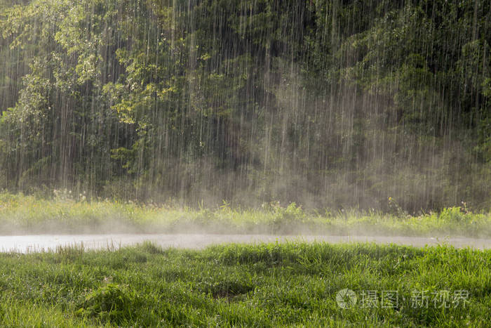 大雨落在了薄雾升起的路上.照片-正版商用图片0580x0-摄图新视界