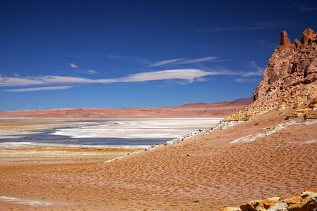 盐湖 salar de 塔拉，智利