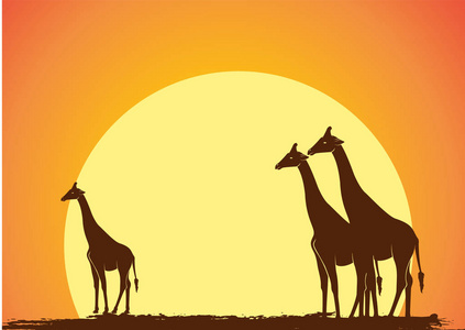 日落向量中的野长颈鹿剪影
