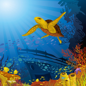 彩色的珊瑚礁与黄龟