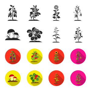 蘑菇, 草莓, 玉米, 黄瓜。植物集合图标黑色, flet 风格矢量符号股票插画网站