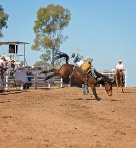 牛仔骑着野马马在澳大利亚的牛仔竞技比赛中