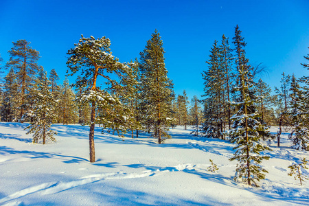 白色冬季：旅行美容在北极圈的童话故事