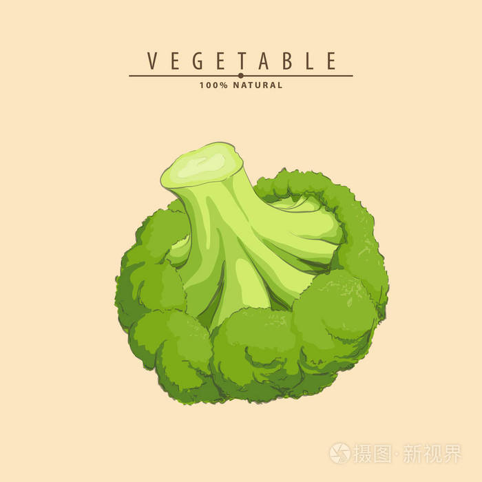 新鲜可口的绿色新鲜花椰菜插画-正版商用图片058gif-摄图新视界